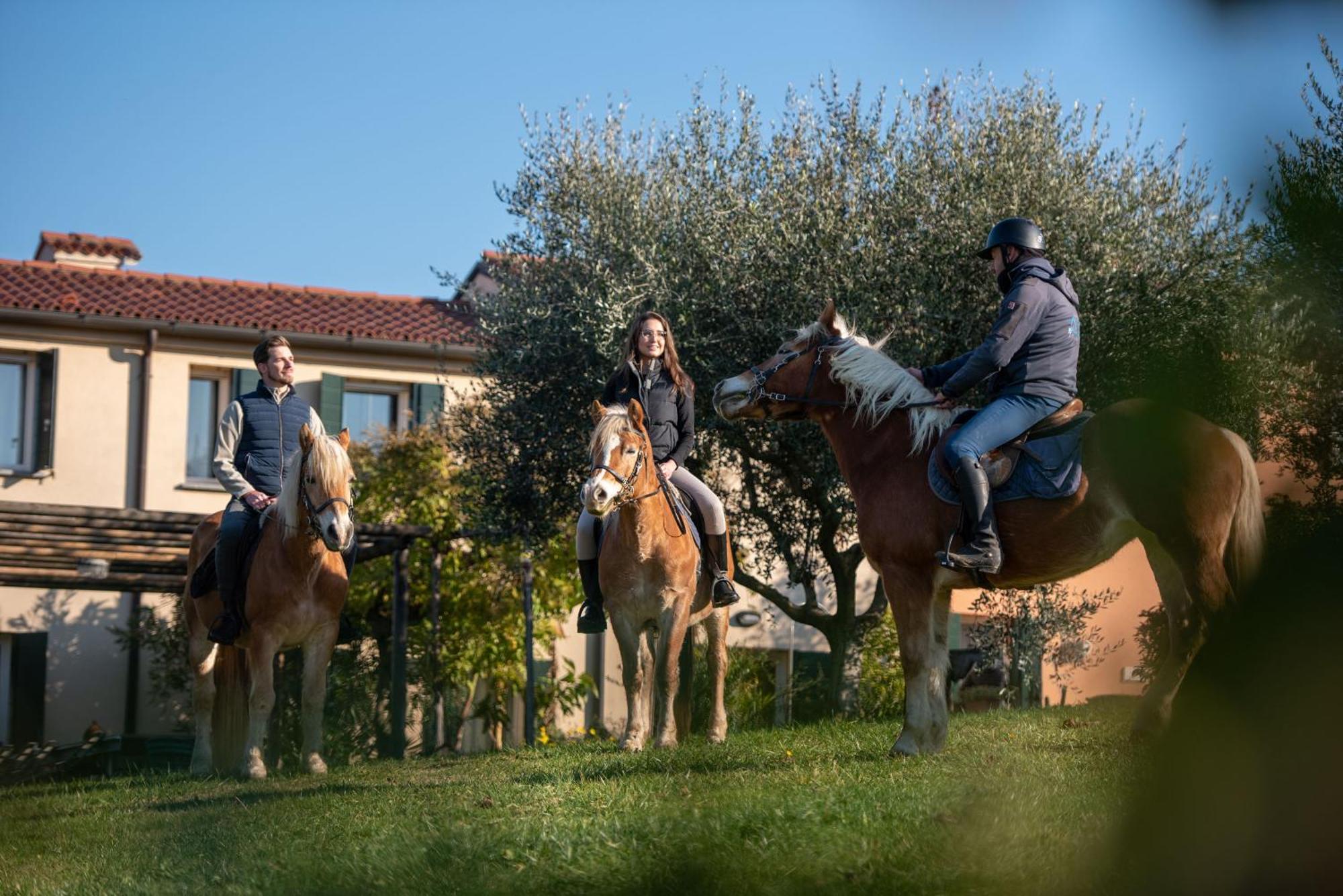Agriturismo Terre Bianche Teolo Exterior foto